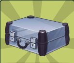 BRIEFCASES_1_SILVER.PNG