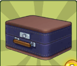 BRIEFCASES_2_GOVERNMENT.PNG